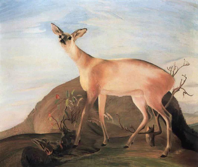 Kosztka, Tivadar Csontvry Deer Norge oil painting art